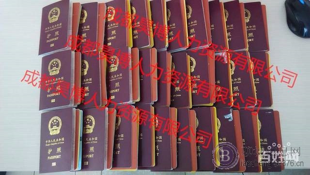 新西兰零费用出国-年入40万-名额有限-赶紧报名