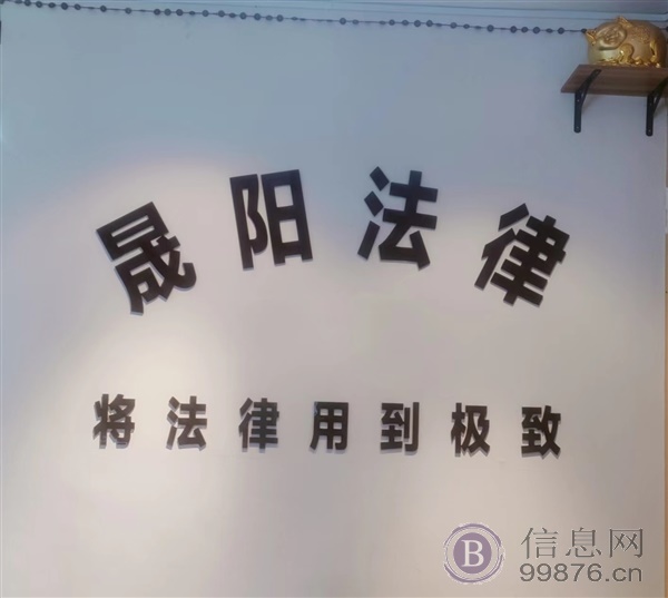 山东晟阳法律服务